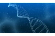 Verfolgung der DNA-Reparatur in Echtzeit