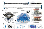 Weiche 3D-Transistoren als Wirtszellen